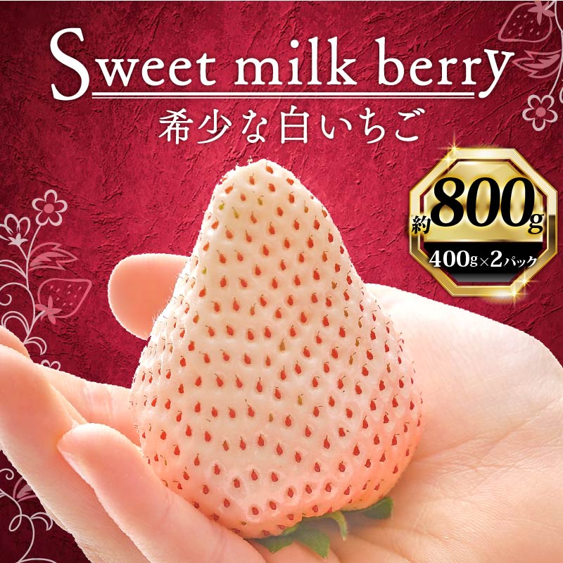 いちご 白いちご 計 800g